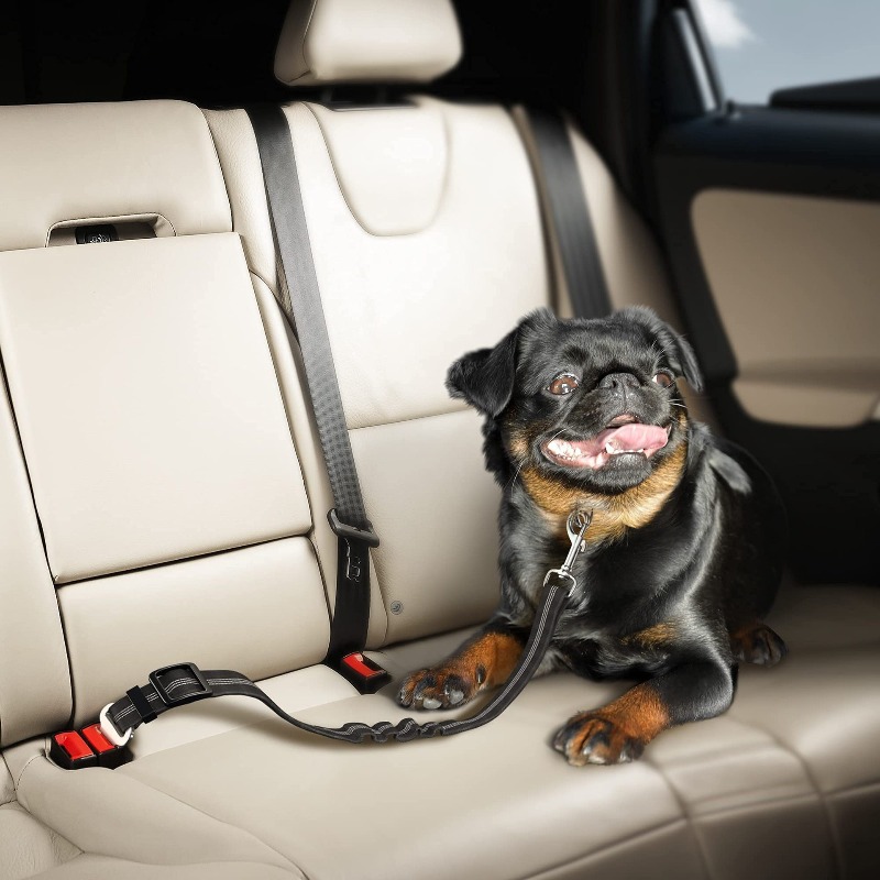 Retractable Dog Car Harness Se - Snap Fastener Set incelemesi ve fiyatı