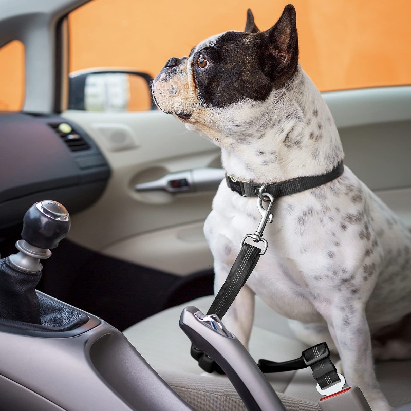 Retractable Dog Car Harness Se - Snap Fastener Set incelemesi ve fiyatı